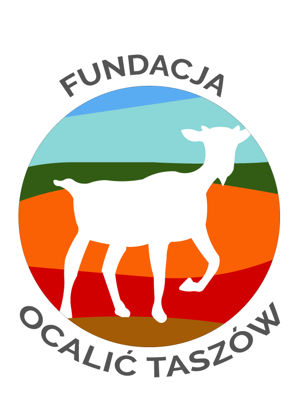 Logo Jesień